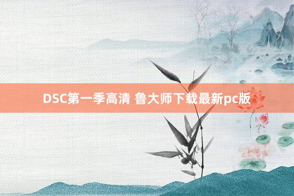 DSC第一季高清 鲁大师下载最新pc版