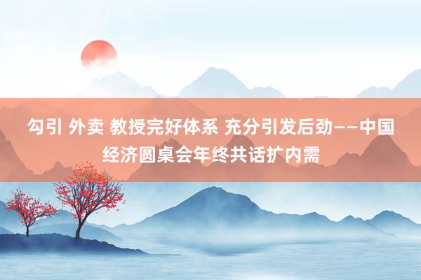 勾引 外卖 教授完好体系 充分引发后劲——中国经济圆桌会年终共话扩内需